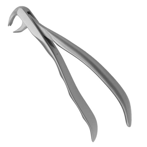 Devemed Extract Forceps Lower Molars Swallow Dental