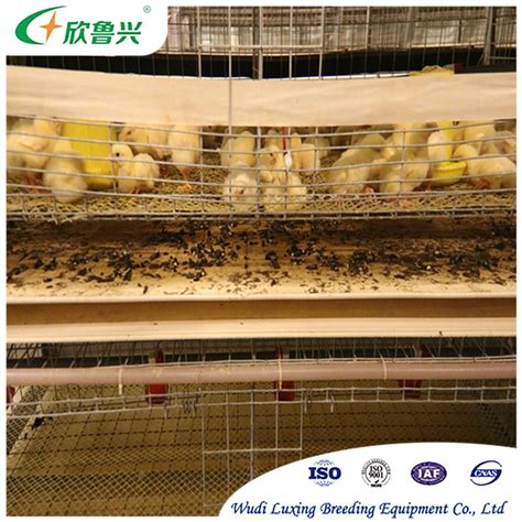 Cost Effective Or Tiers Poultry Layer Cages H Type Automatic Pullet