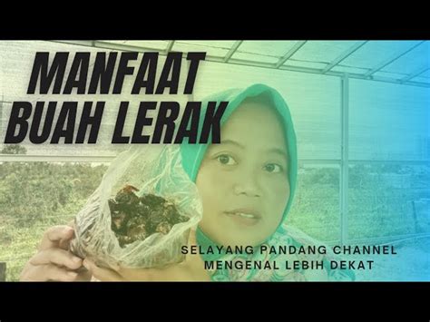 Temukan Rahasia Manfaat Buah Lerak Yang Jarang Diketahui Solider