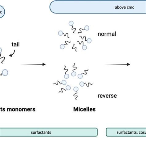 Nonionic surfactants used and their properties 22 . | Download ...