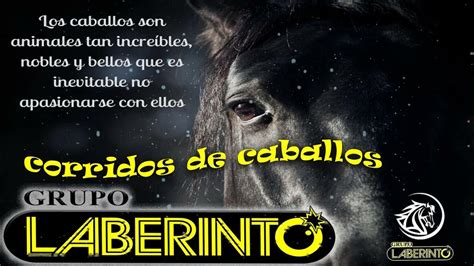 Grupo Laberinto Mix 2022 Mejores Corridos Caballos Las Mejores