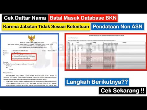 Cara Mengecek Nama Tenaga Non Asn Sudah Terdaftar Dipengumuman Bkn