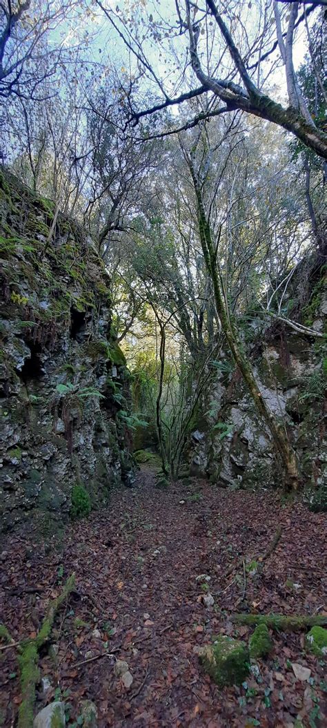 schönsten Wanderwege in El Astillero Outdooractive