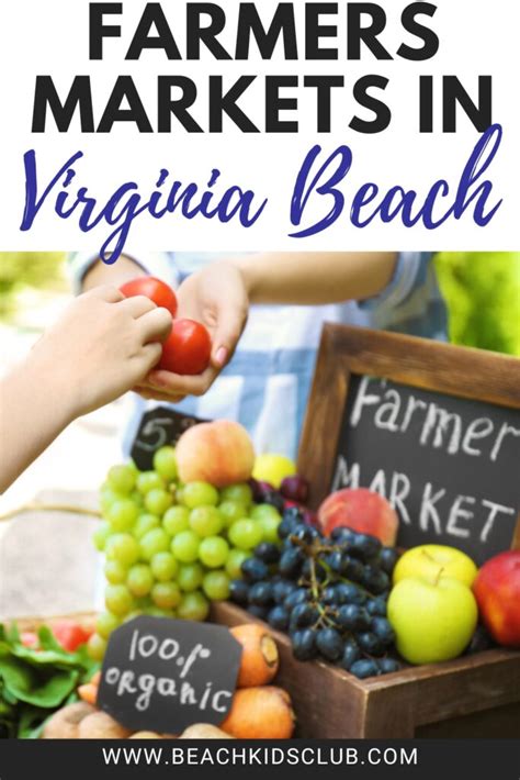 The Best Locals Guide of the Virginia Beach Farmers Market Revealed 2024 - Beach Kids Club