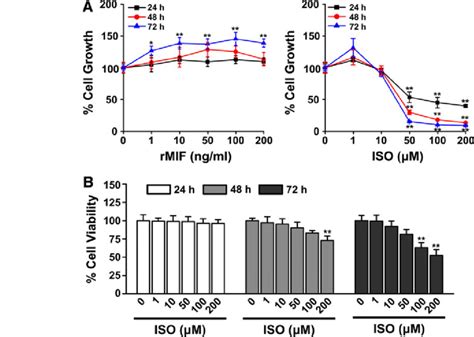 Effect Of Mif On Acc Cell Growth And Viability A Acc 2 Cell Growth Was