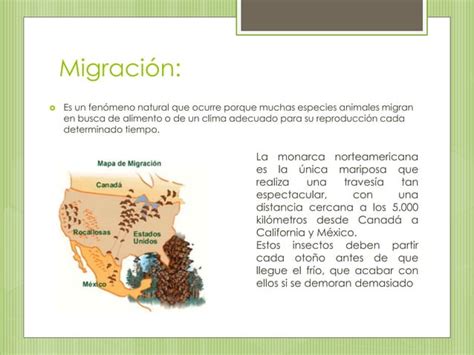 Práctica de las mariposas monarcas PPT