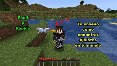 Como Encontrar Ajolotes En Tu Mundo De Minecraft Y Como Pasar De