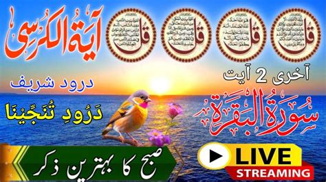 Live Morning Wazifa Quls I Ayatul Kursi Surah Fatiha Darood