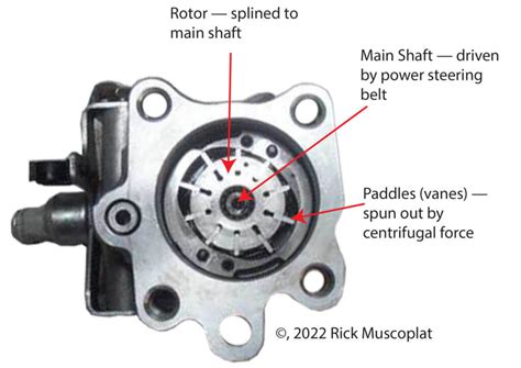 Noisy Power Steering Causes Ricks Free Auto Repair Advice Ricks Free