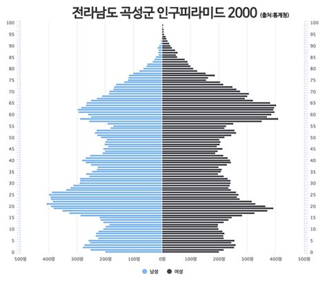 전라남도 곡성군 인구피라미드2000 2018 오마이포토