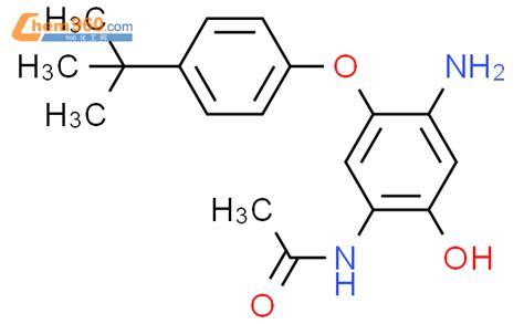 Acetamide N Amino Dimethylethyl Phenoxy