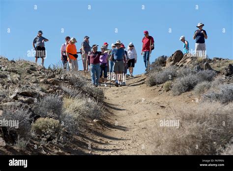 Group hiking on the Lost Horse Mine trail, Joshua Tree National Park ...