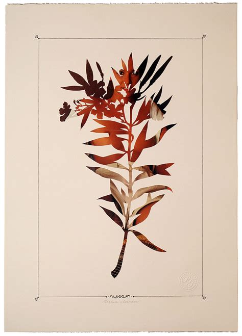 Herbarium Paolo Giardi