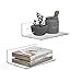 Sezanrpt 9 Inch Clear Wall Shelf Acrylic Small Floating Shelf For Wall