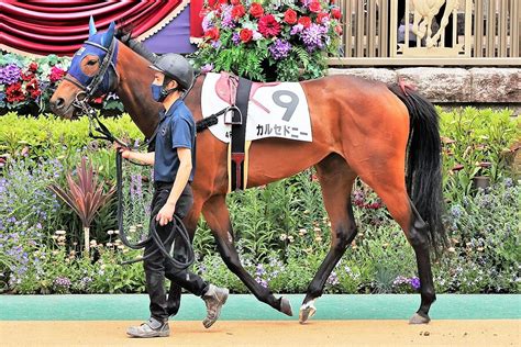 2022・5・8 東京4r 3歳未勝利 芝1800 ルージュカルミア＆カルセドニーほか まさちゃんの馬うまライフ