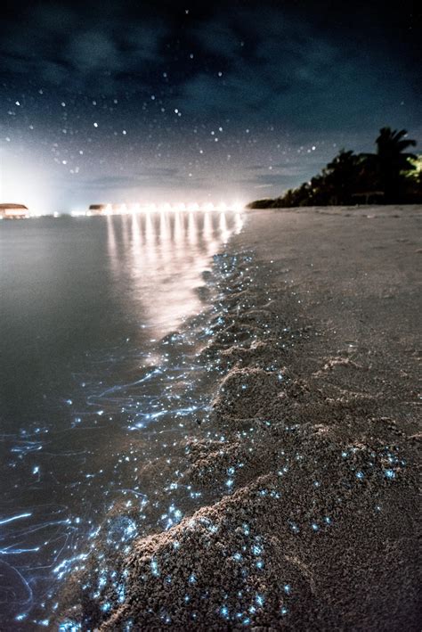 Top 10 Sensational Facts About Maldives Glowing Beach Vaadhoo