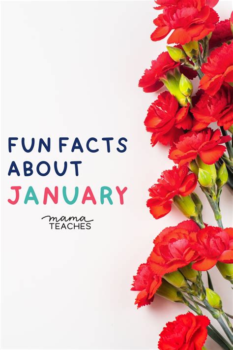 Fun Facts About January Mama Teaches