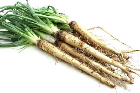 Salsify: growing & caring for the root vegetable - Plantura