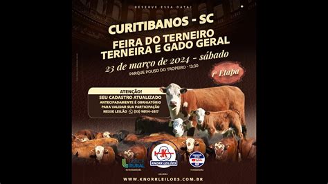 Feira Do Terneiro Terneira Gado Geral De Outono Curitibanos Sc