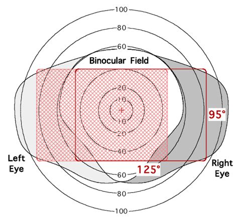 Recommended HMD Characteristics: Each eye has a 125°h x 95°v FoV, with ...