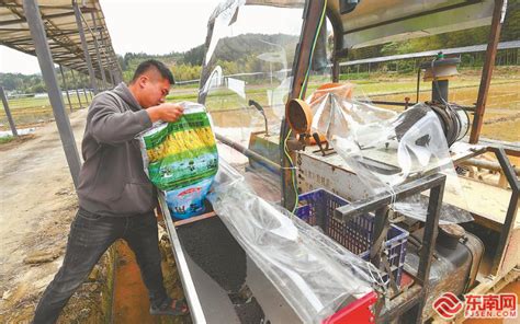 谷雨时节春耕忙 闽南网