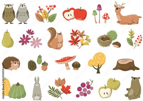 stock vector adobe stock