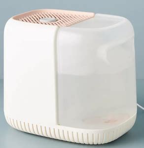 Best Humidifiers For Your Home Of Propertynest