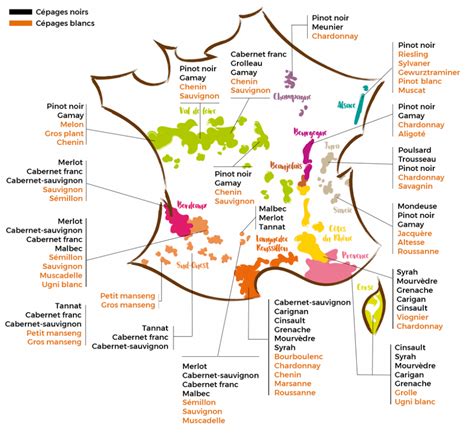 Régions et appellations dans le vin 13 degrés à l ombre Vins et