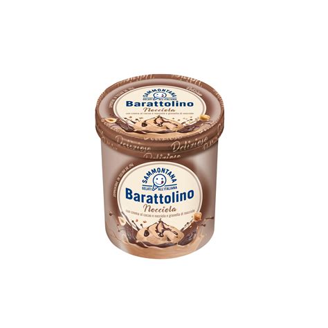 Barattolino Gelato Alla Nocciola 500 Gr Sammontana