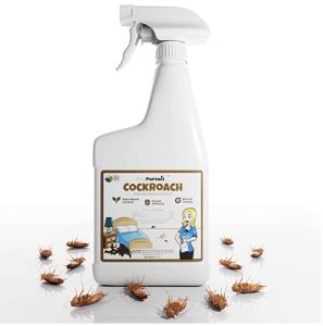 Pet Safe Roach Killer We Tested Pet Safe Roach Control Options