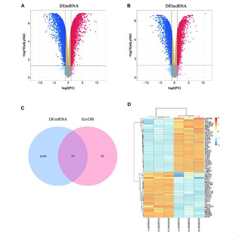 Identification Of Differentially Expressed Ferroptosis Related Genes