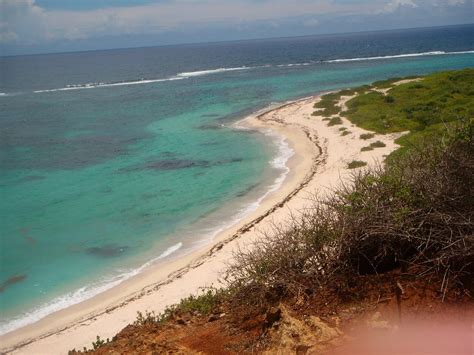 Barbuda 2024: Best Places to Visit - Tripadvisor