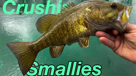 The Smallmouth Bass Bite Is Fire YouTube