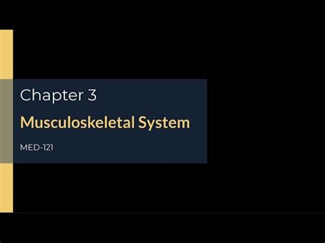 Chapter 3 Musculoskeletal System YouTube