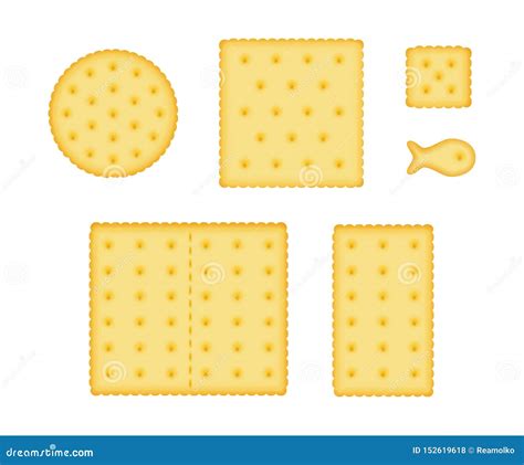 Cracker Cookies Set Stock Vector Illustration Of Isolated