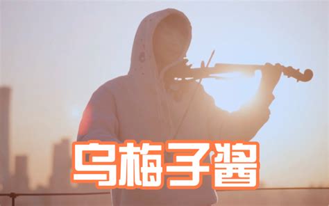 “你浅浅的微笑就像乌梅子酱” 龚明威violin青春版 龚明威violin青春版 哔哩哔哩视频