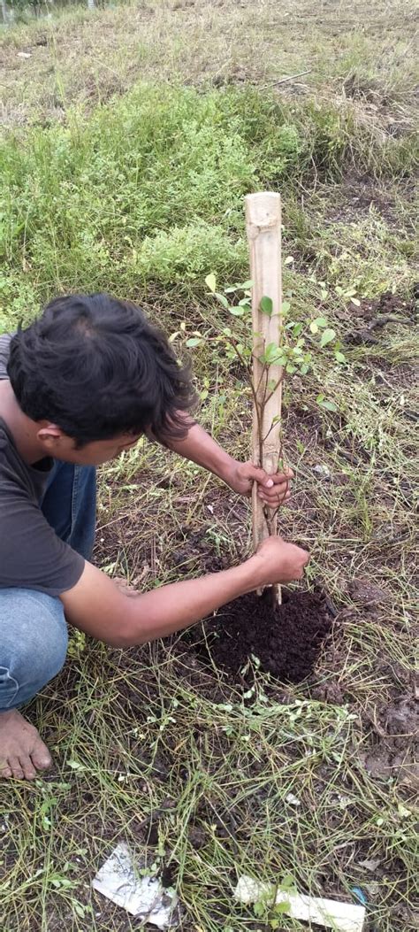 Gerakan Injourney Green Tanam Pohon Di Tangerang