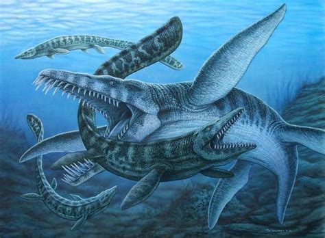 Лиоплевродон (Liopleurodon): описание, характеристика, фото