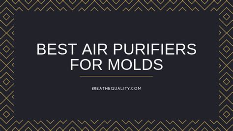 Best Air Purifiers For Mold And Virus