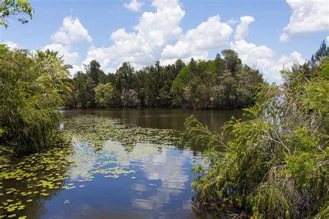 Ciénaga de Zapata: A Sanctuary of Biodiversity in Cuba | LAC Geo