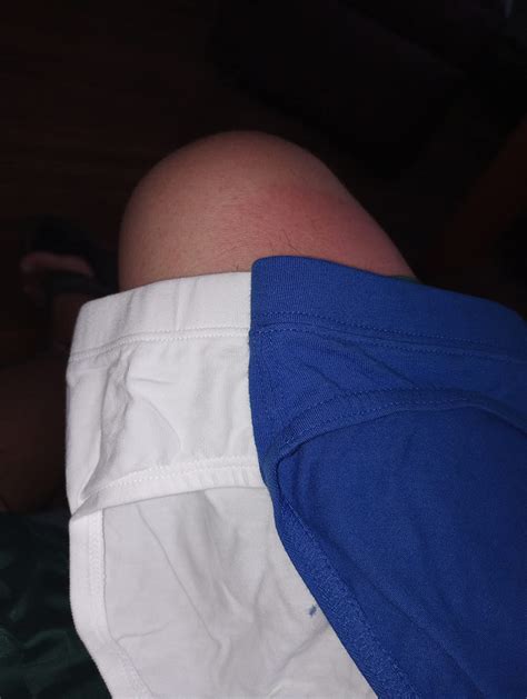 X IST Mens Cotton Stretch Bikini Brief Pack At Amazon Mens