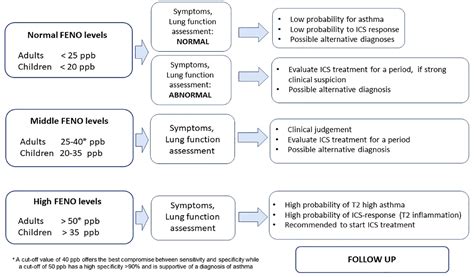 Fractional Nitric Oxide Measurement In Exhaled Air Feno Perspectives