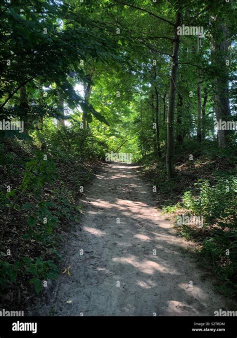 Worn Dirt Path Thru Dense Woods Leading To The Beach Stock Photo Alamy