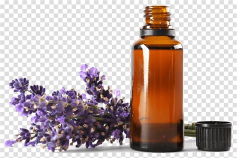 aromatherapy clipart free 20 free Cliparts | Download images on ...