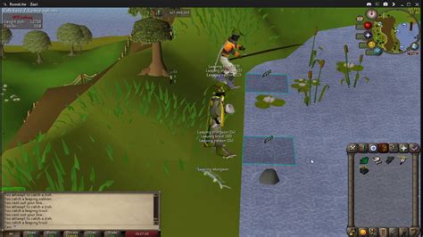 How To 3 Tick Fishing In Slow Motion Osrs Youtube