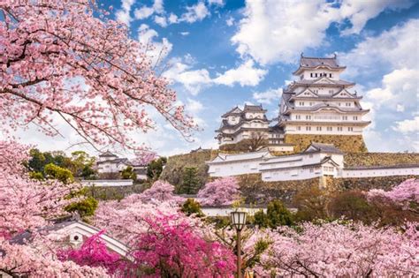 Excursión A Himeji Y Kobe Desde Osaka Reserva En