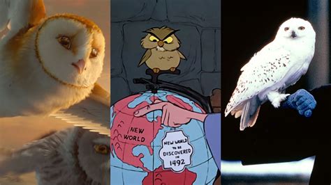 Superb Owl Sunday The Best Owls In Film — Talk Film Society