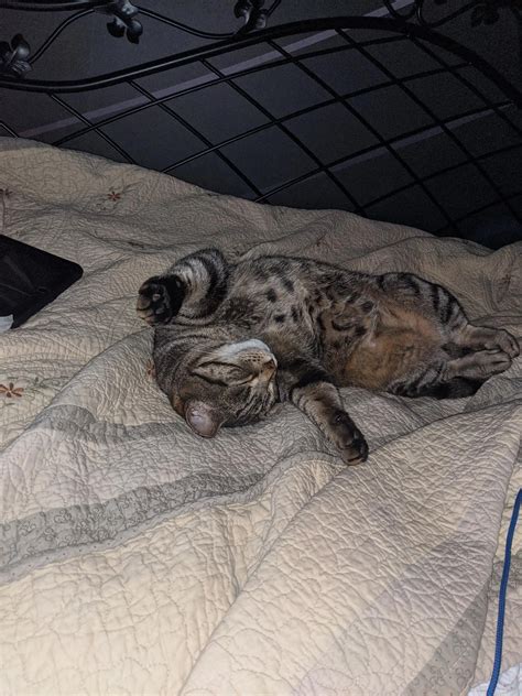 F Feeling Nervous To Show My Pussy Hope You All Like It Xoxo Scrolller