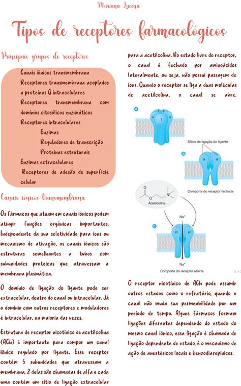 Tipos De Receptores De F Rmacos Farmacologia I