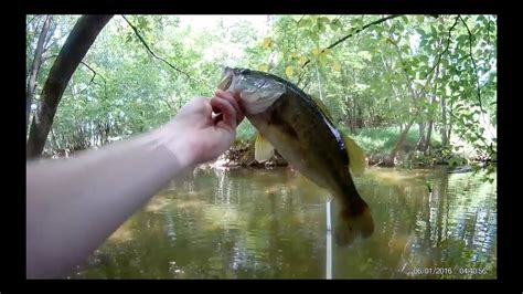 Small Creek Fishing For Bass Bream And Catfish Youtube